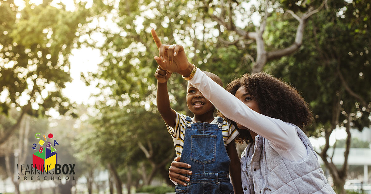 What Are Outdoor Preschool, Forest Kindergarten, and Nature Preschools?